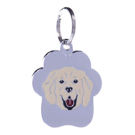 Picture of TAG RAINBOW GOLDEN RETRIEVER